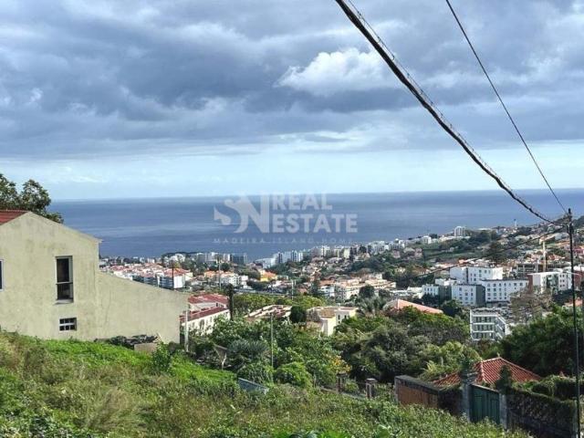 Funchal Ilha da Madeira 85690263