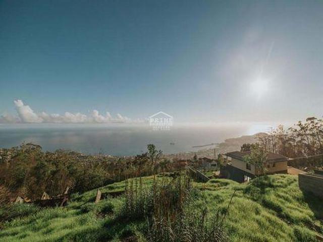 Funchal Ilha da Madeira 96314470