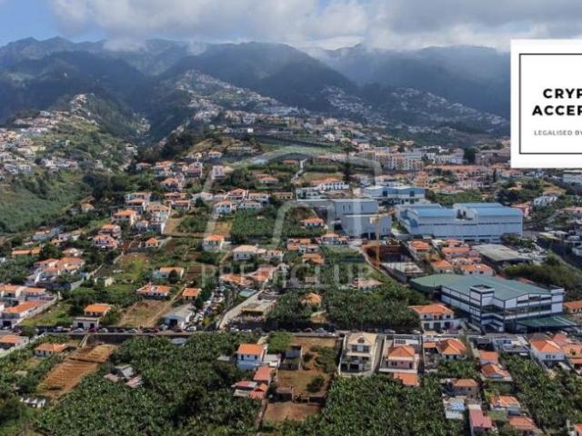 Funchal Ilha da Madeira 104564439