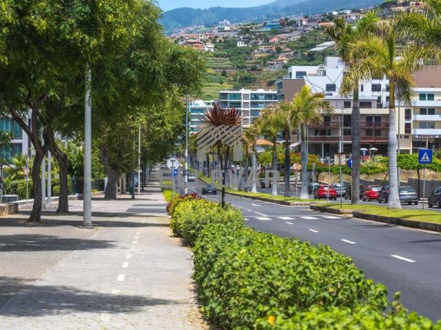 Funchal Ilha da Madeira 105486977