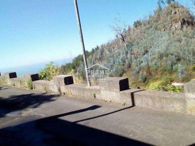 Funchal Ilha da Madeira 105510110