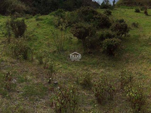 Funchal Ilha da Madeira 105510116
