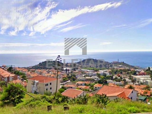 Funchal Ilha da Madeira 105379121
