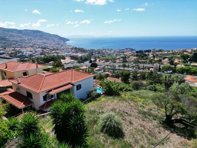 Funchal Ilha da Madeira LS78206145