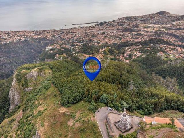 Funchal Ilha da Madeira LS86007094