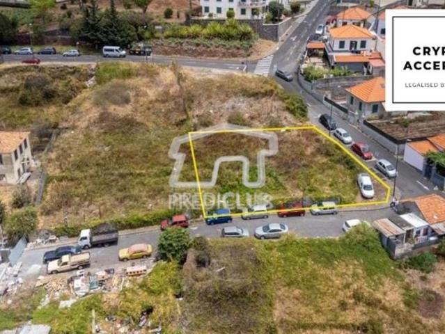 Funchal Ilha da Madeira LS86681222