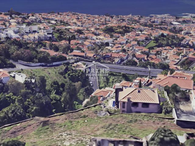Funchal Ilha da Madeira LS88876443