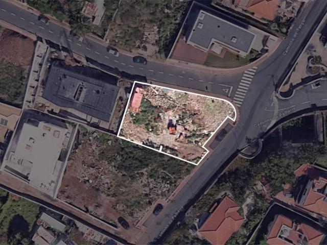 Funchal Ilha da Madeira LS88948454