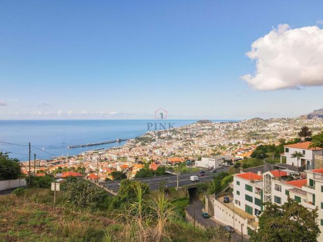 Funchal Ilha da Madeira LS83291675