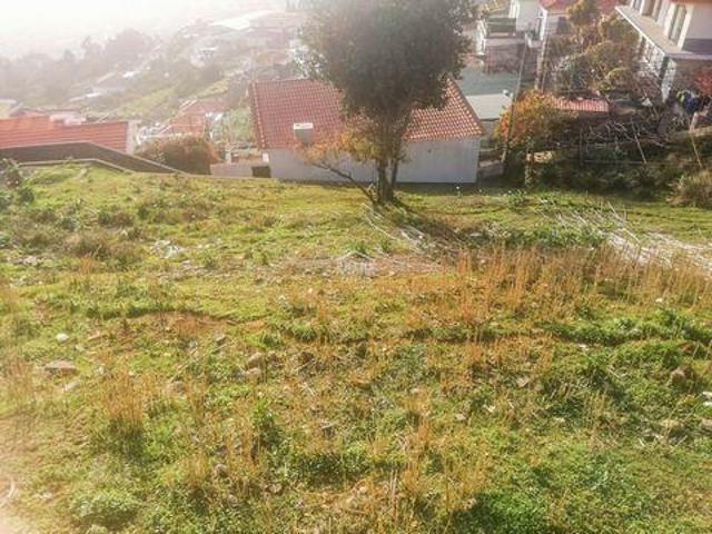 Funchal Ilha da Madeira LS96309648