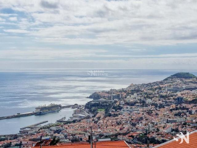 Funchal Ilha da Madeira LS93499175