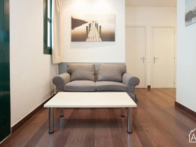 Functional Apartment near Passeig del Born
