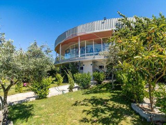 Fundão Castelo Branco 104073587