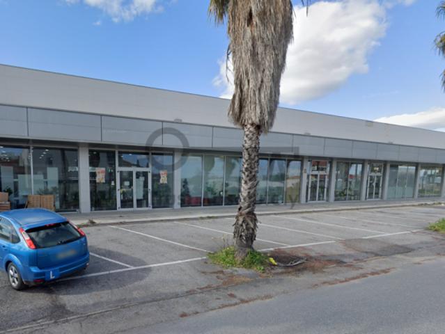 Fundão Castelo Branco 102848904