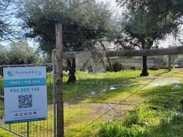 Fundão Castelo Branco 98213843
