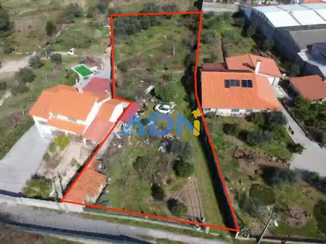 Fundão Castelo Branco 99468719