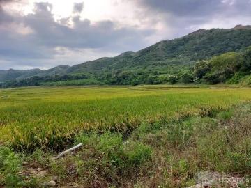 Fundo Agrícola Jaén, Cajamarca 105 ha