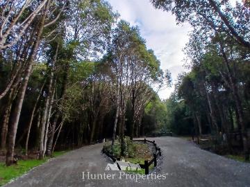 camino Las Tranqueras con playa Niklitschek
