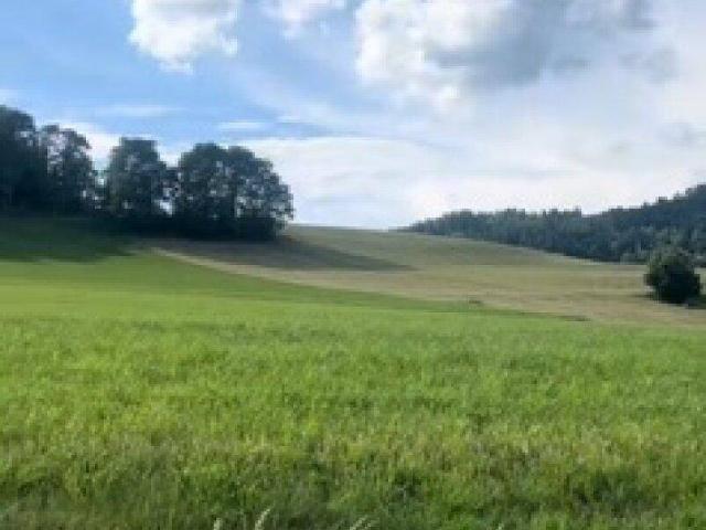 Fünf traumhafte, vollaufgeschlossene Grundstücke mit einem umwerfenden Panoramablick in Latschach am Magdalensberg