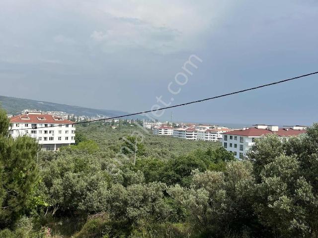 Full Doğa Manzaralı Eşyalı Her Katta Tek Daire Acil Satılık