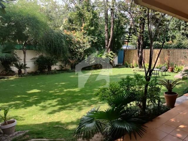 Full Furnished Beautiful House E 7