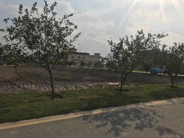 Full Paid 5 marla TULIP EXT PArk View City Lahore Park View Villas ID 70824