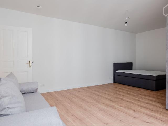 Fully Furnished 1 Bedroom Apartment close to Gesundbrunnen, Berlin Amsterdam Apartments for Rent