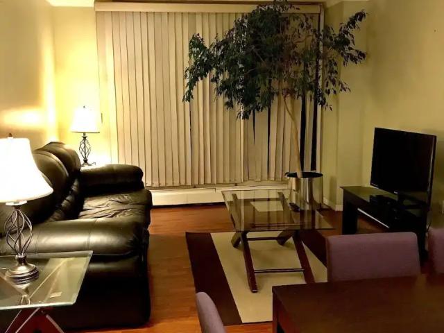 Fully Furnished 2 Bedroom & 1 Bath Condo in the Heart of Downtown