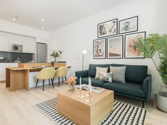 Fully furnished apartment for rent in Malasaña