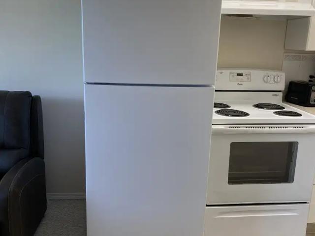 Fully Furnished Bachelor Suite