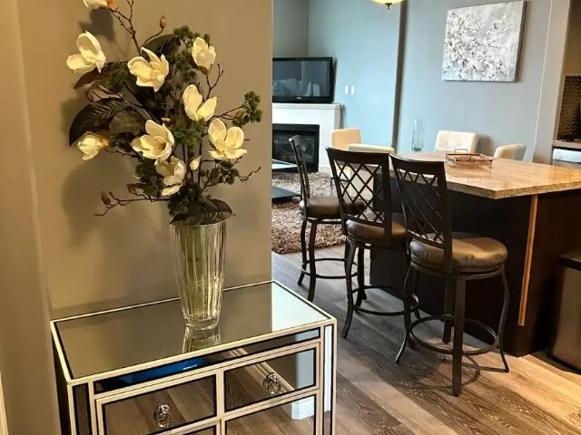 Fully furnished, Executive condo, pet friendly