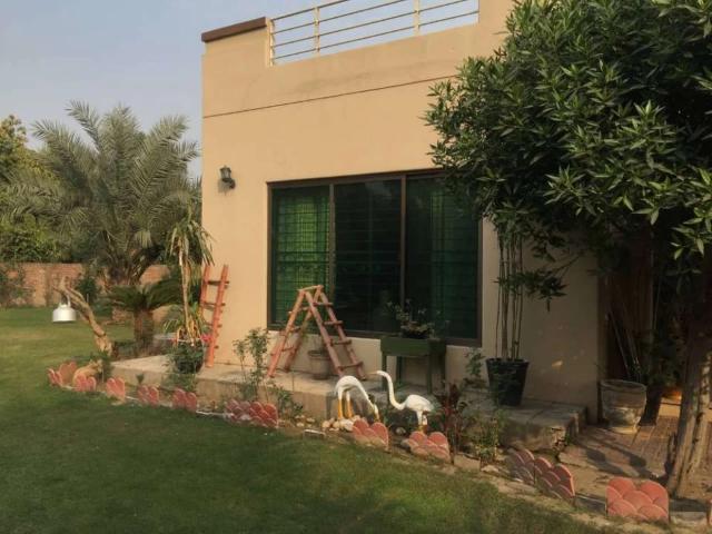 Fully Furnished Farm House Is available Per Night Lahore Bedian Road ID 50775