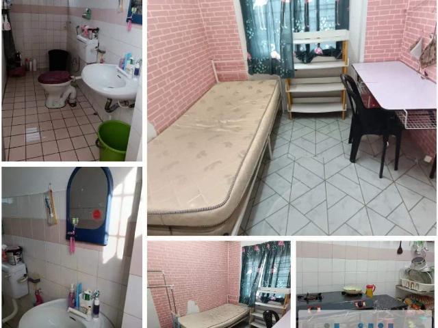 Fully Furnished Female Room
