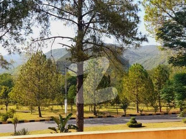 Fully Furnished House For Rent On Margalla Road F 7 Islamabad