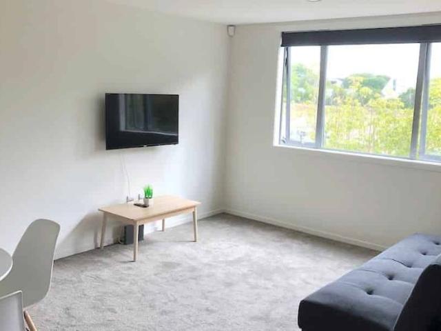 Fully furnished modern apartment