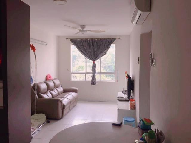 Fully furnished Mini Condo
