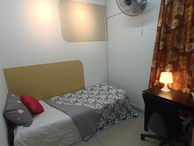 ✨✨FULLY FURNISHED SINGLE ROOM FOR RENT – FEMALE ONLY✨✨