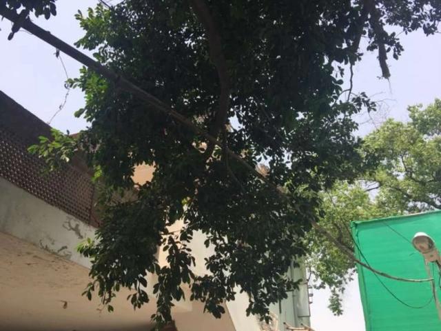 Fully furnished studio apartment in cantt Lahore Cantt ID 04056