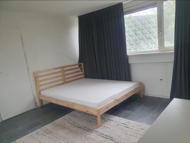 Fully furnished room availble!