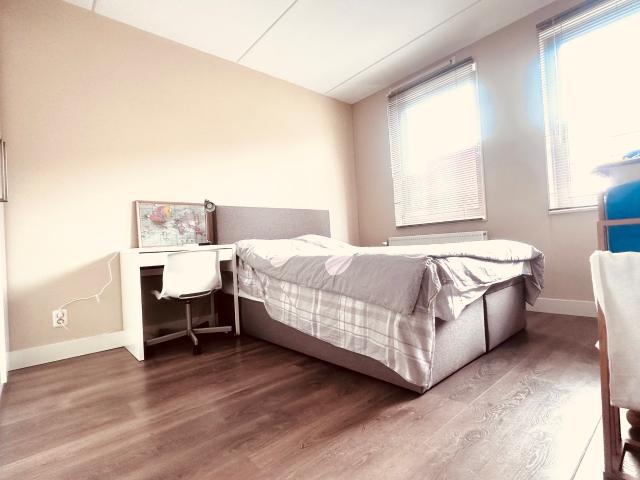 Fully furnished room Female tenants Only