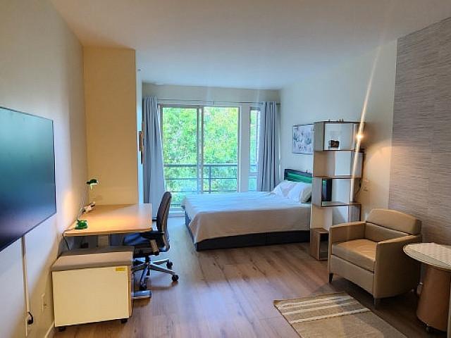 Fully Furnished, Top Floor Renovated Studio At Sfu