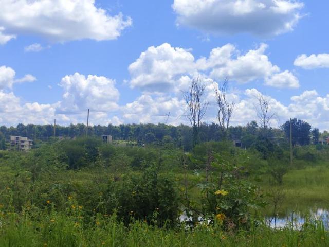 Fully Serviced Luxury 1/2 Acre Plots for Sale in Ruiru next to Tatu City from Kes 20M