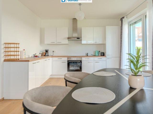 FÜR ANLEGER: neue 4 Zimmer Wohnung mit Garten und Terrasse im Raum Krems tolle Rendite 1 Top 1