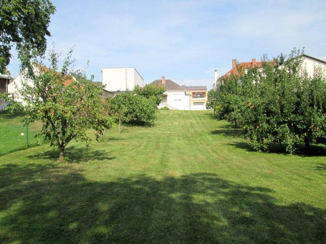 Für Gartenliebhaber kleines, erweiterbares Haus mit wunderbarem, top gepflegtem Garten in zentraler Ortslage!