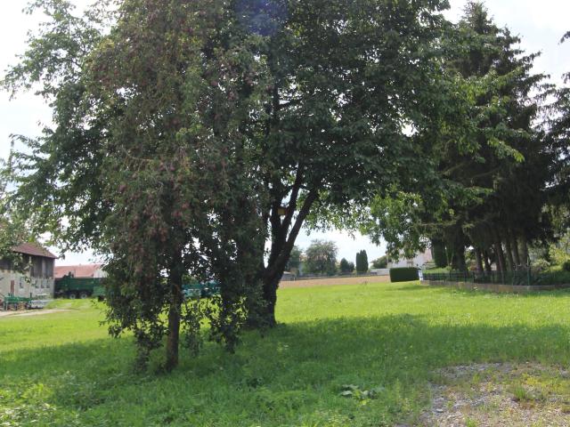 FÜR DIE KLEINE FAMILIE, ETWAS RUHIGES
