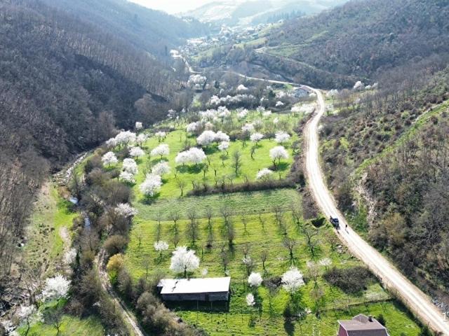 FURKAN DEMİR'DEN BURSA İZNİK YÖRÜKLER'DE 1186 M2 SATILIK BAHÇE