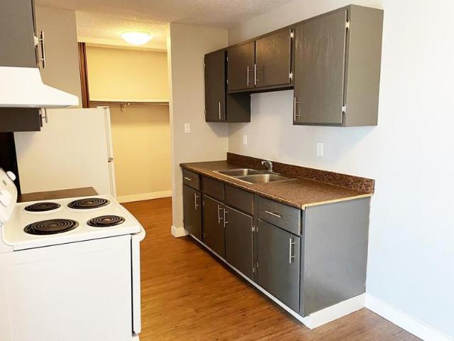 Furnished 3 Bed 1 Bath 4 Nixon