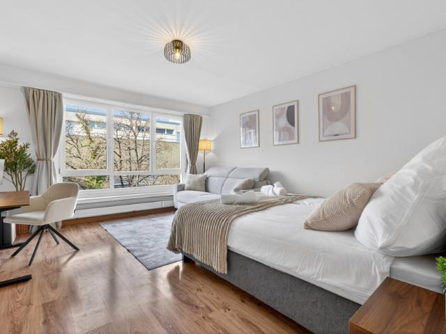 Furnished 1.5 room apartment for 4 people Basel
