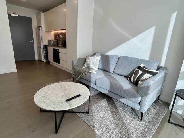 FURNISHED 1 Bed 1 Bath Luxury in the City Centre