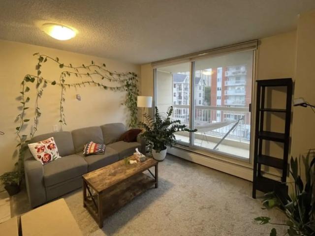 furnished 1 bedroom and 1 bathroom unit